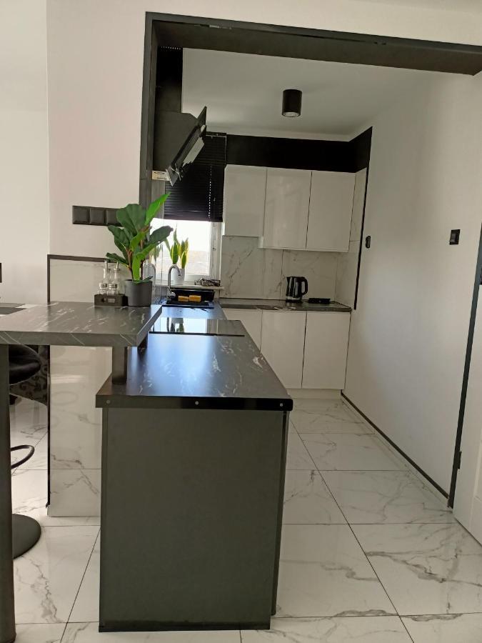 Apartament Kosmos Gorzow 乔左维尔考普尔斯基 外观 照片